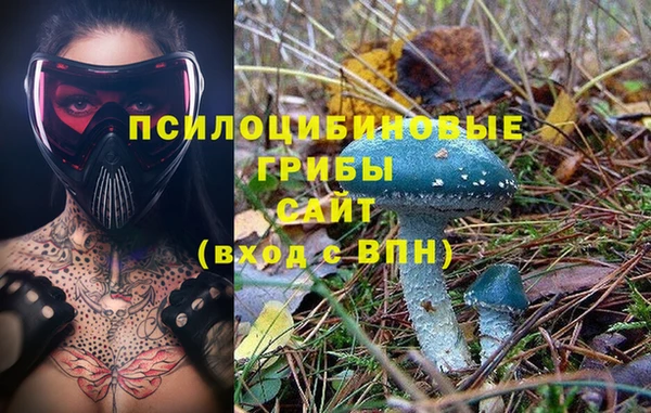 крисы Абдулино