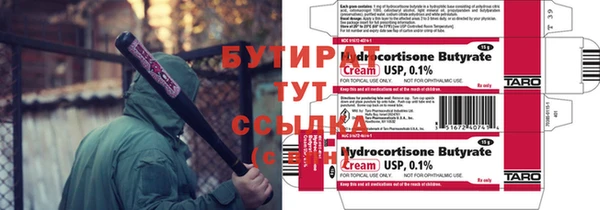 прущие грибы Новозыбков