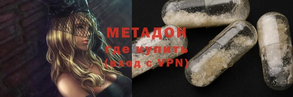 прущие грибы Новозыбков