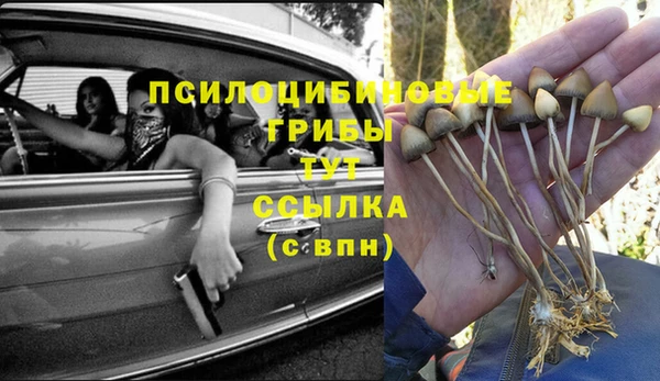 jwh Абинск