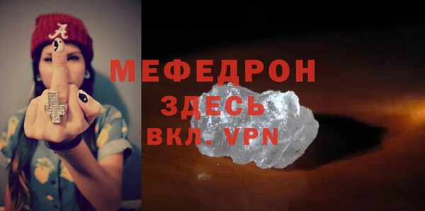 прущие грибы Новозыбков