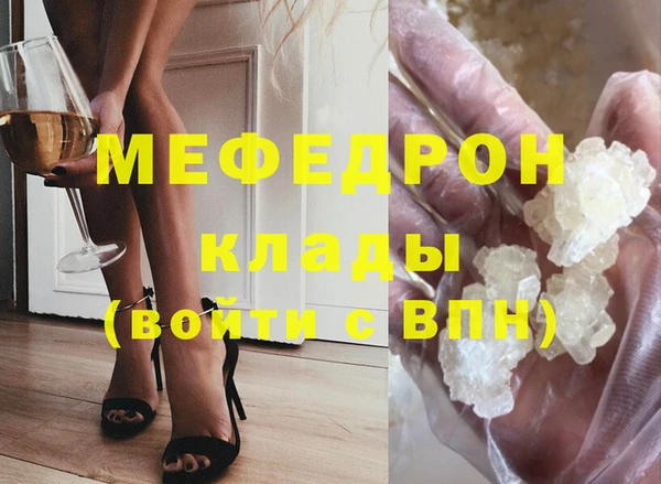 прущие грибы Новозыбков