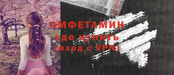 прущие грибы Новозыбков