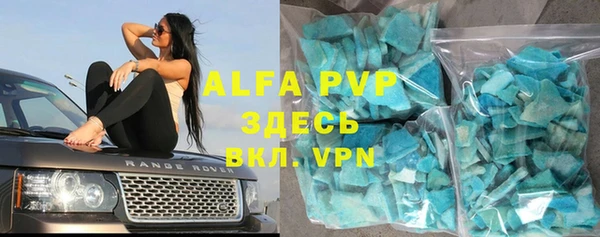 прущие грибы Новозыбков