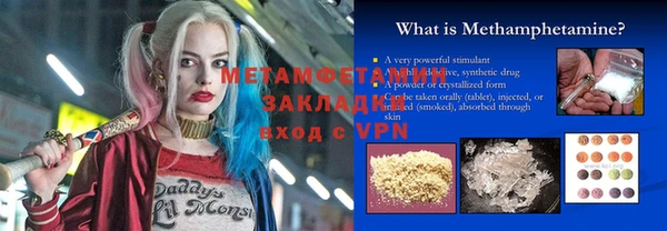 прущие грибы Новозыбков