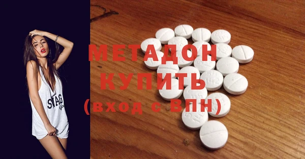 прущие грибы Новозыбков